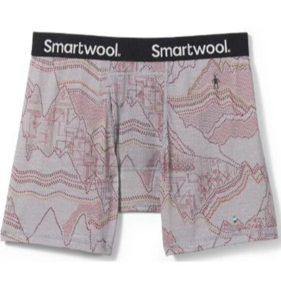 Smartwool Everyday Men’s Merino Size XXL Boxer Brief Light Gray Digital Summit - Picture 1 of 7